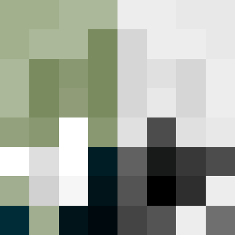 juniorkiobr's skin