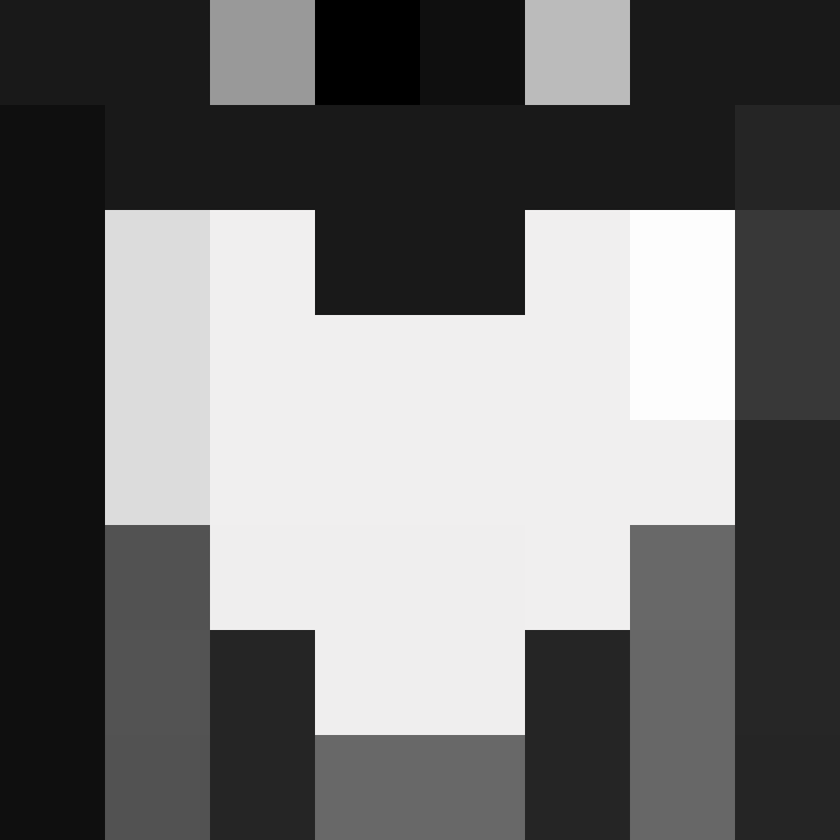 deminecrafterlol's skin