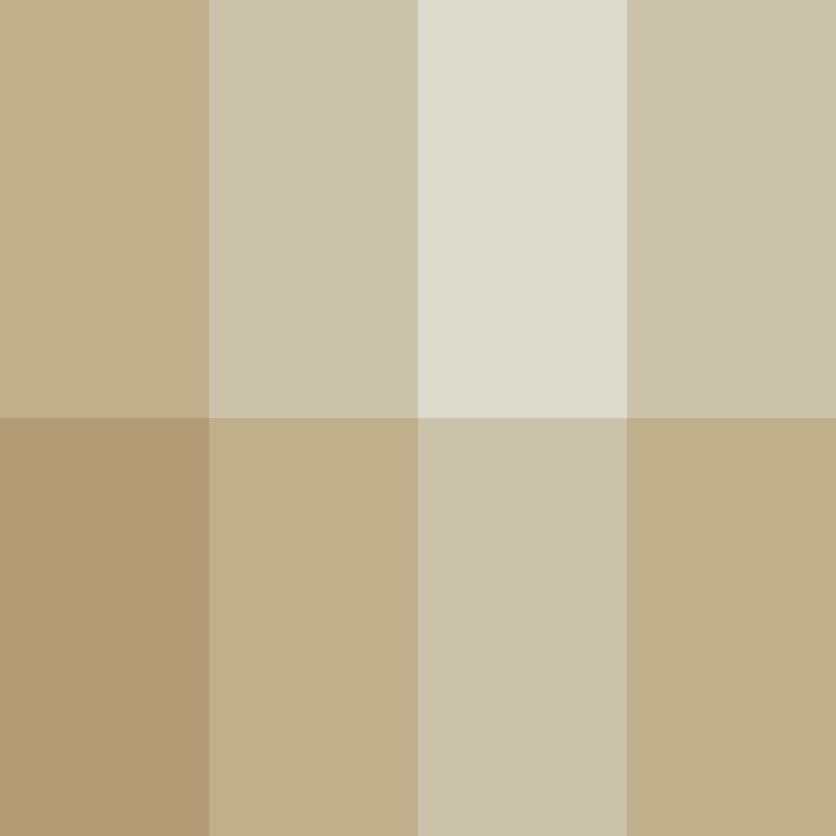 Ryuzln's skin