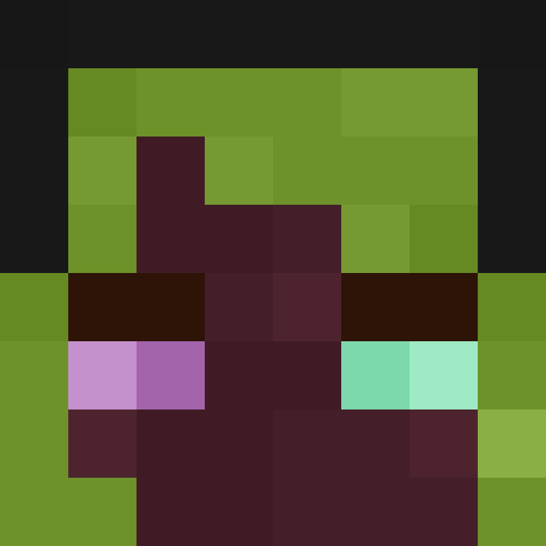 h4yl33's skin
