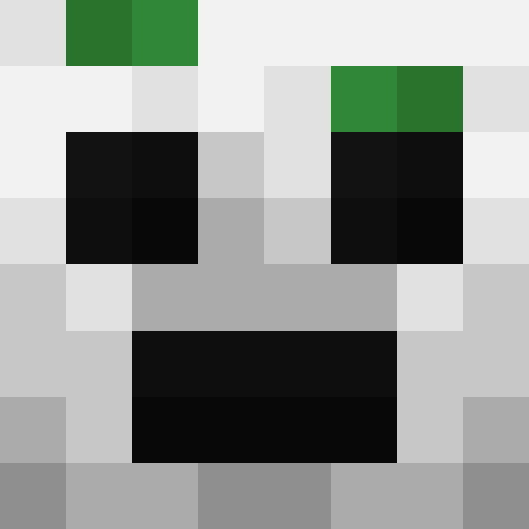 h4yl33's skin