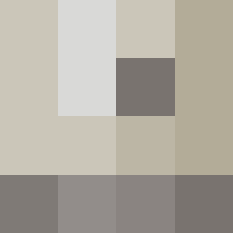 zervation's skin