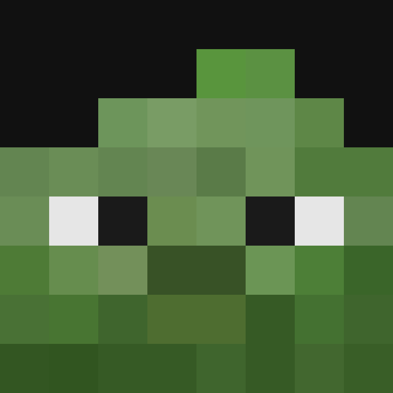 h4yl33's skin