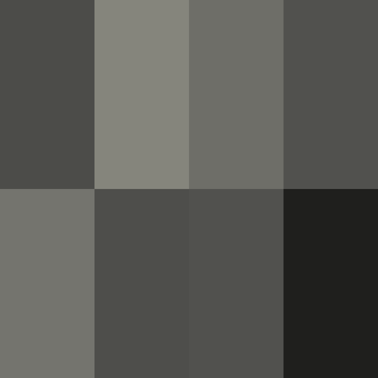Zuarig's skin