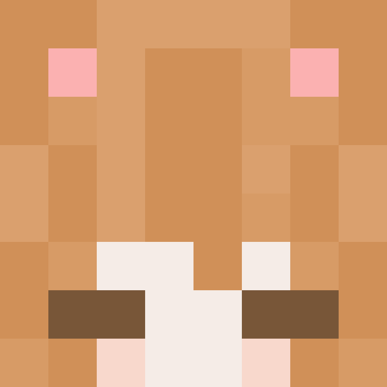 wiredframe's skin