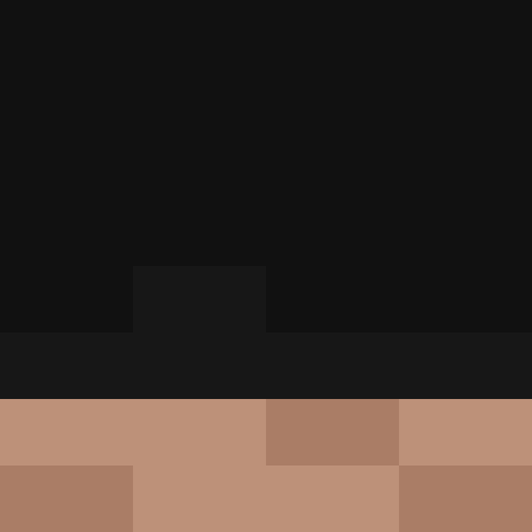GR1ZZLY180's skin