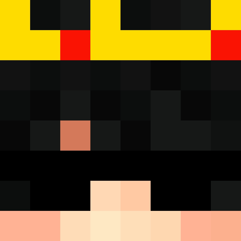8aca680b22461340's skin