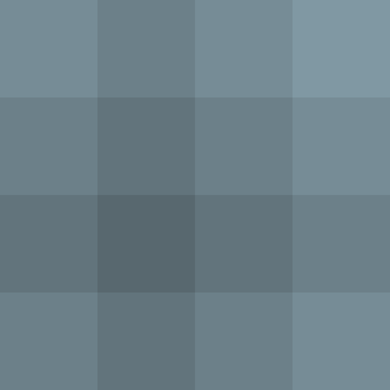 WebNX's skin