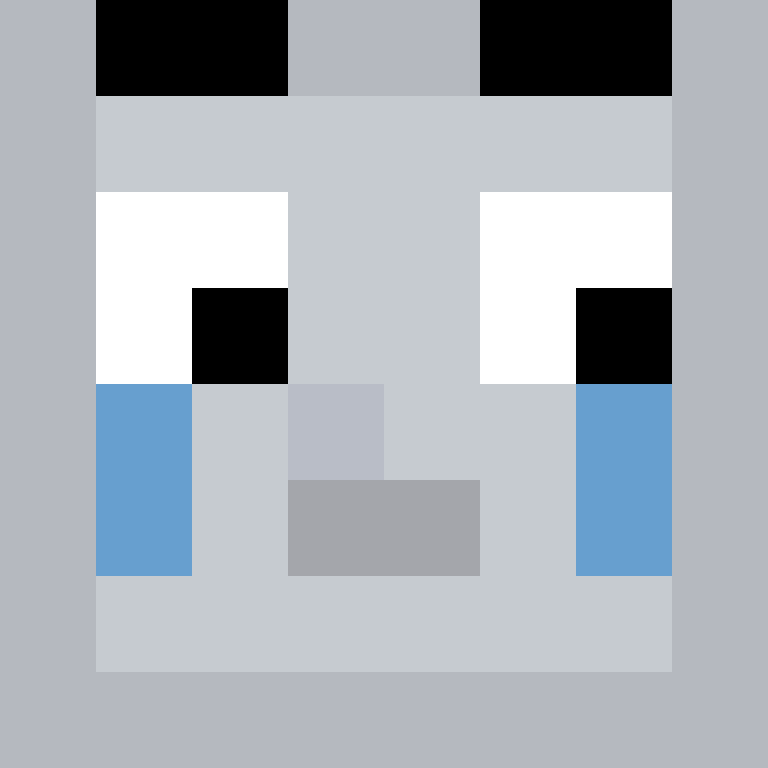 MHF_Mineskin's skin