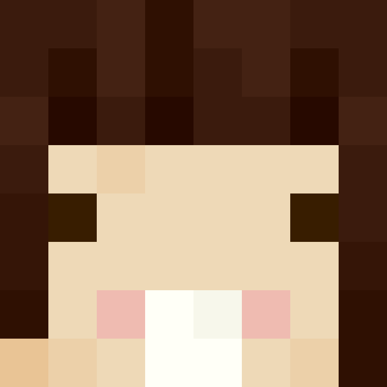8aca680b22461340's skin