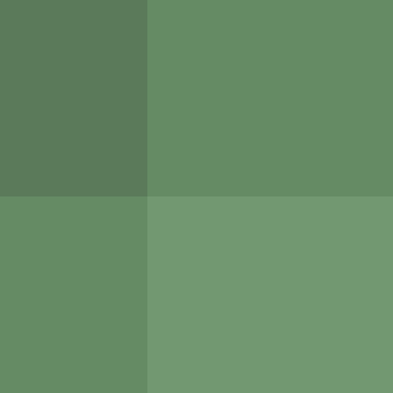 xX_Employment_Xx's skin