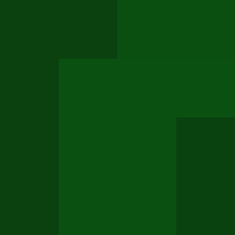 zervation's skin