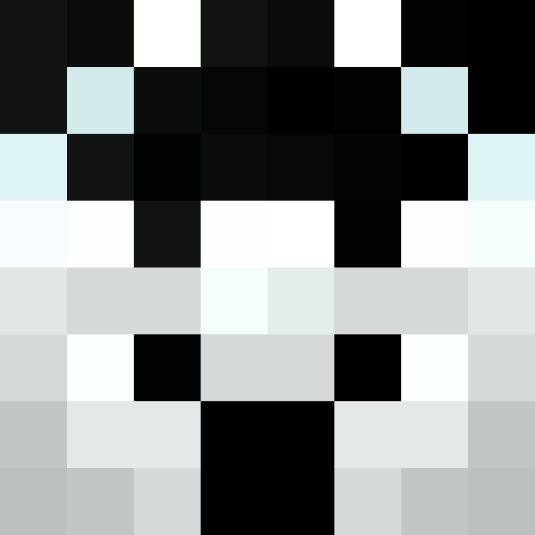 AutoSkin's skin
