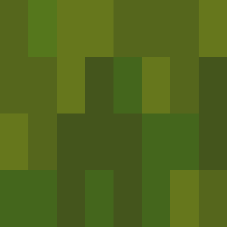 executory's skin