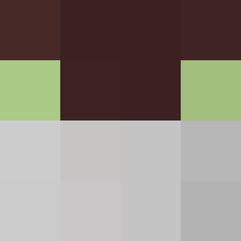 TheCuriousMiner's skin