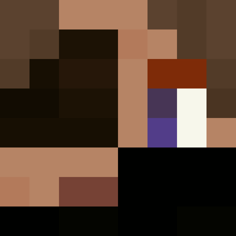 BukkitAPI's skin
