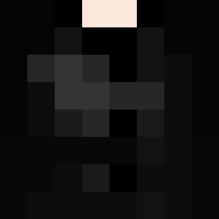 CeilingBird's skin