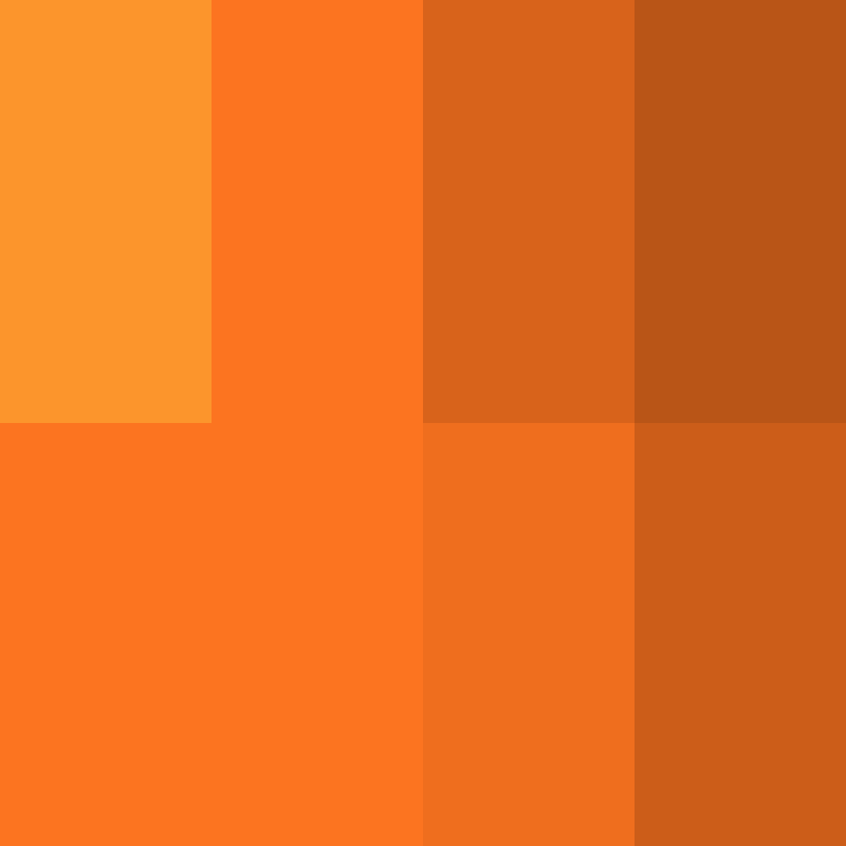Cartizoll's skin