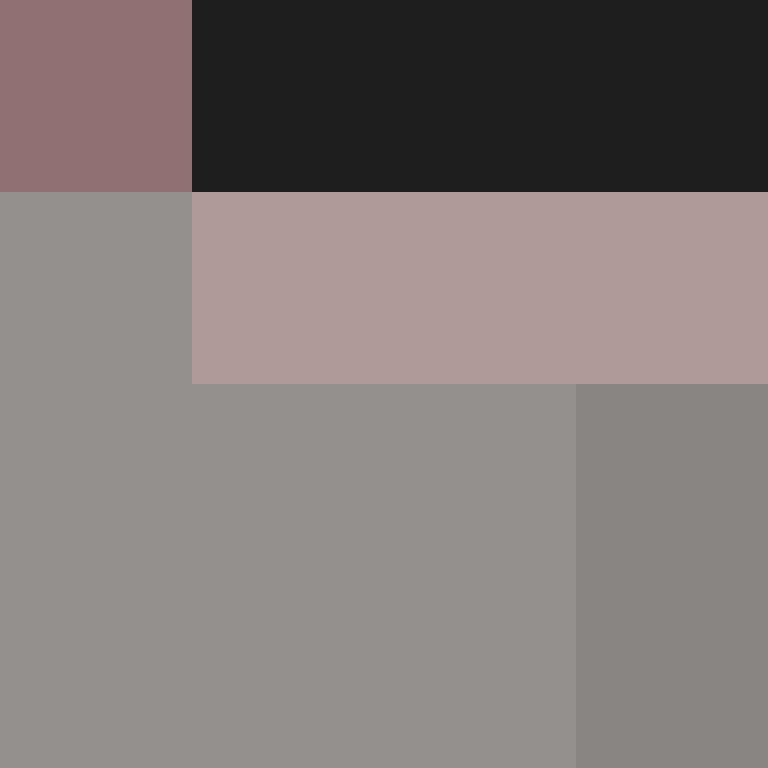 CeilingBird's skin