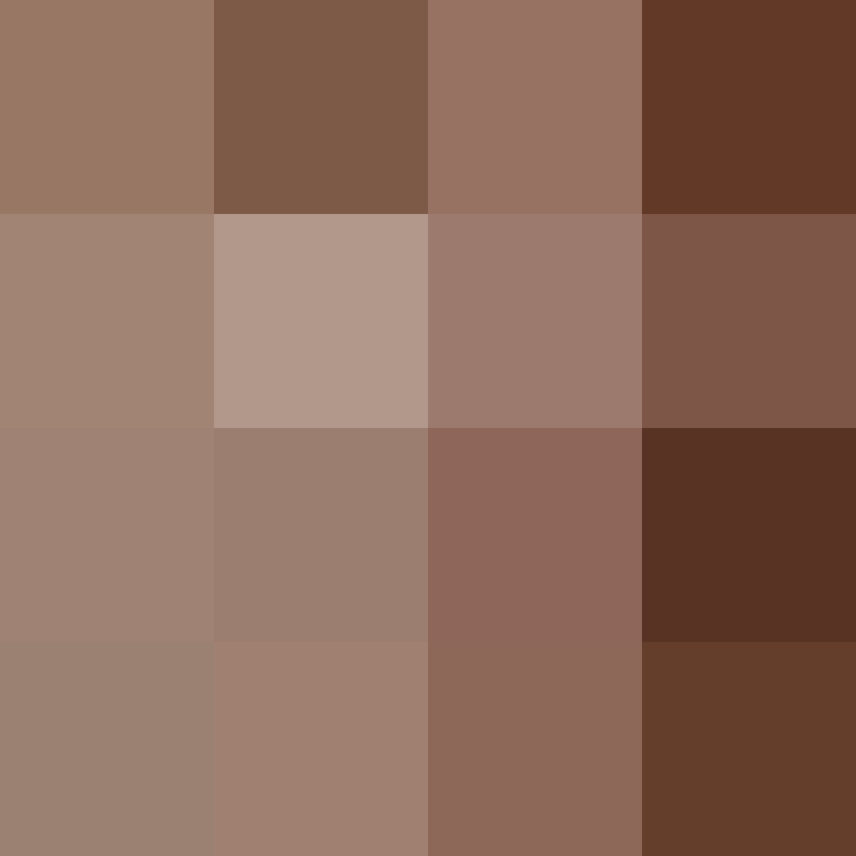 acin5's skin