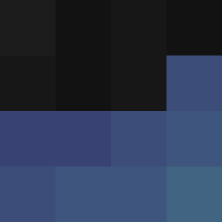 CeilingBird's skin