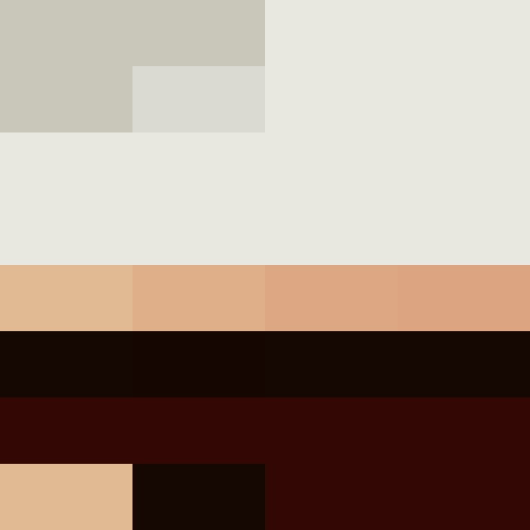 AutoSkin's skin