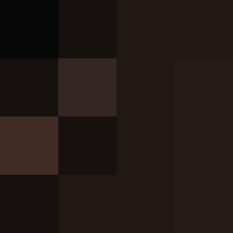 PatatjeMC's skin