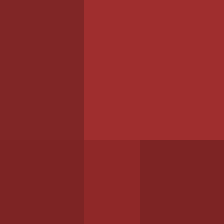 AdamTheHedgehog's skin