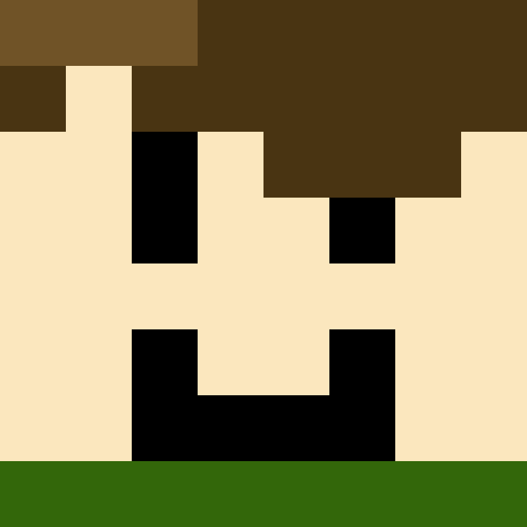 AutoSkin's skin