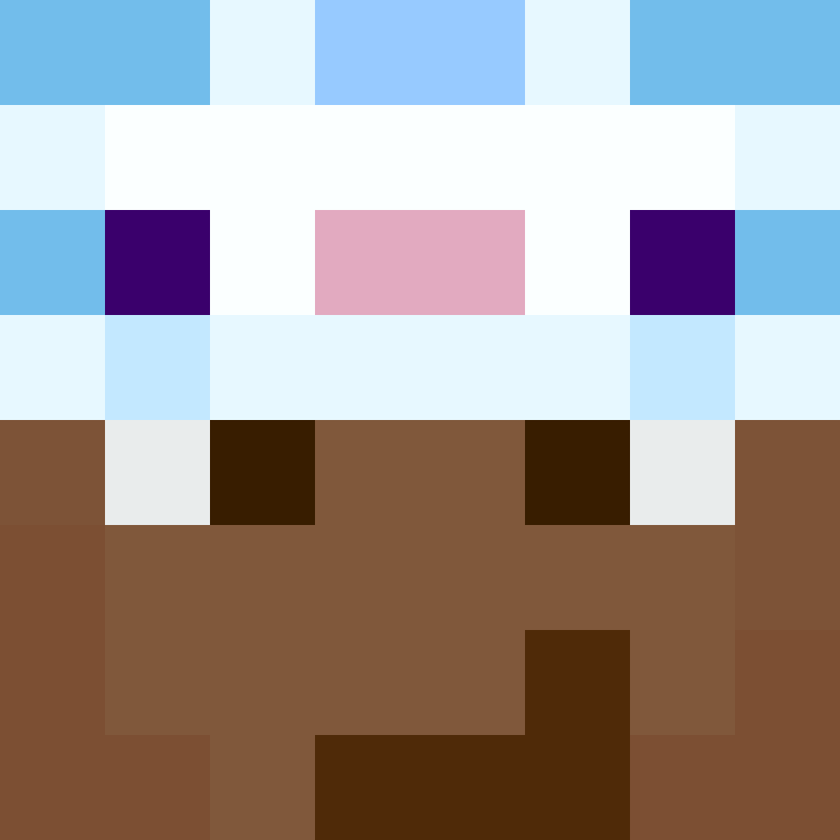 deminecrafterlol's skin