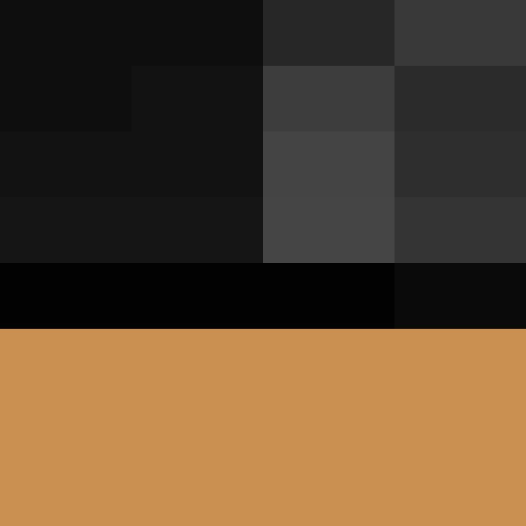 PrinceCR's skin