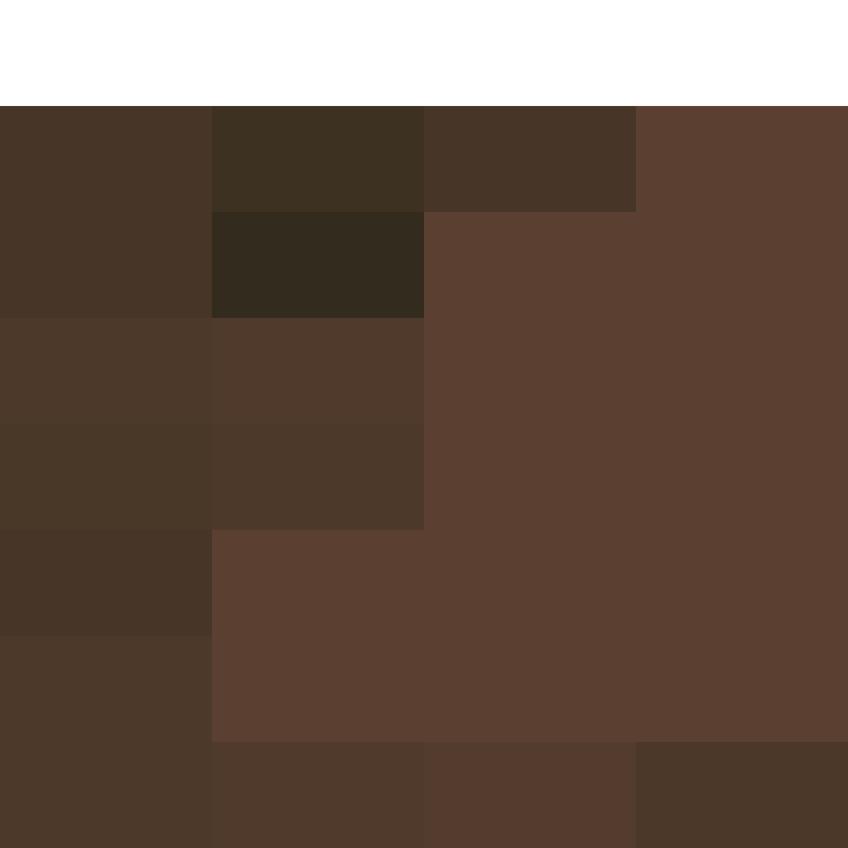 deminecrafterlol's skin