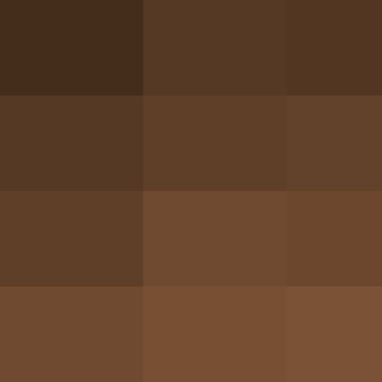 Ichiinn's skin