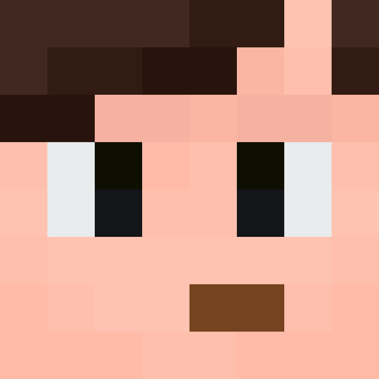 8aca680b22461340's skin