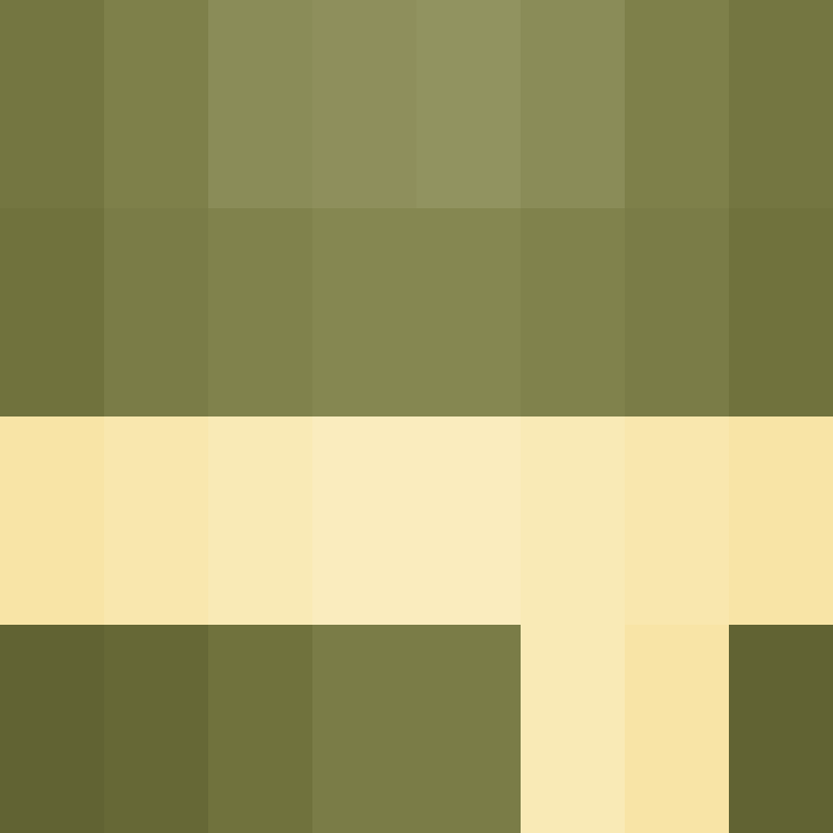 Mine_Skin's skin