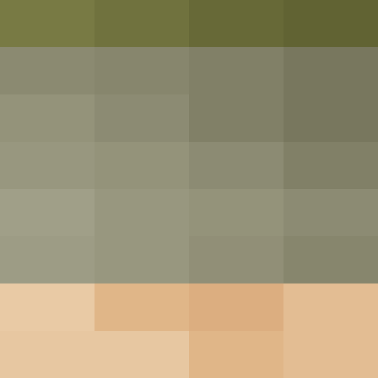 ClowderTech's skin