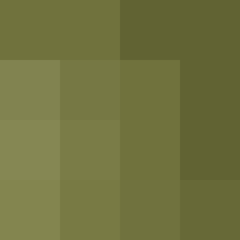 hpyef's skin