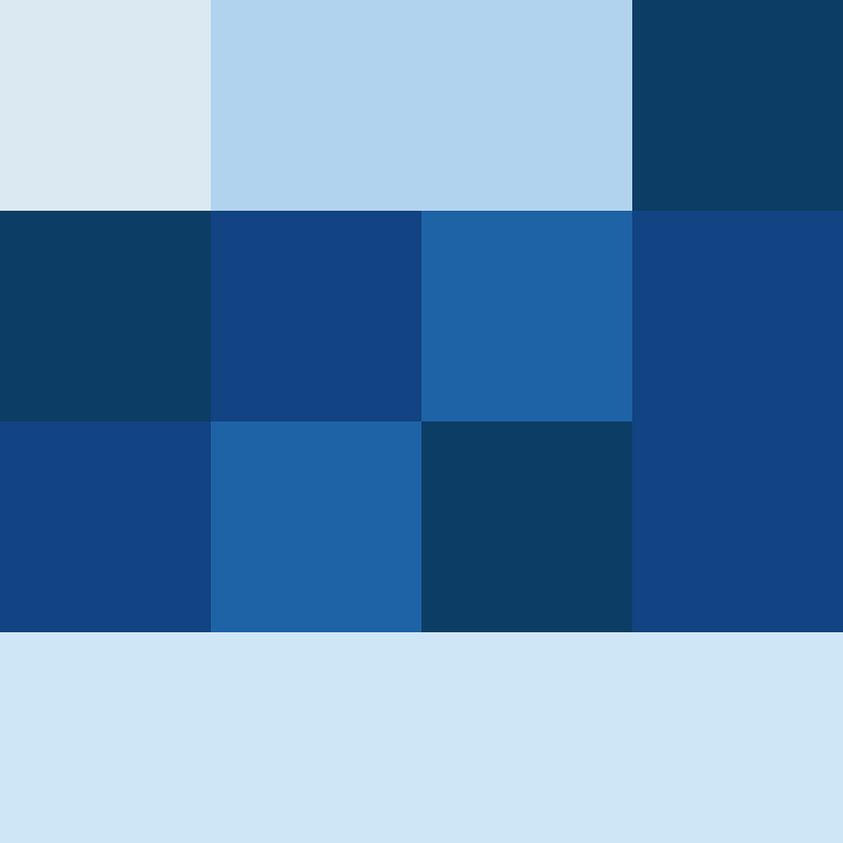 acin5's skin