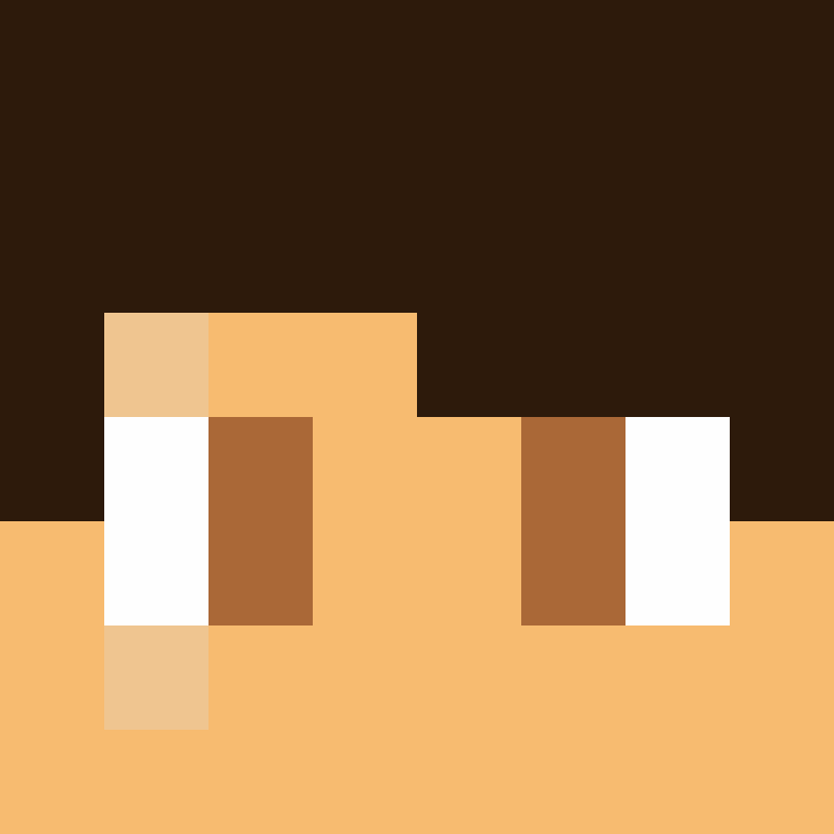 wiredframe's skin