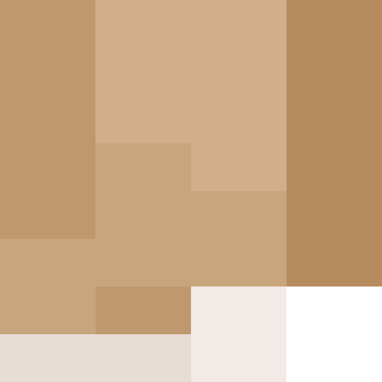 AutoSkin's skin
