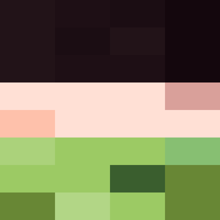 v4r1n's skin