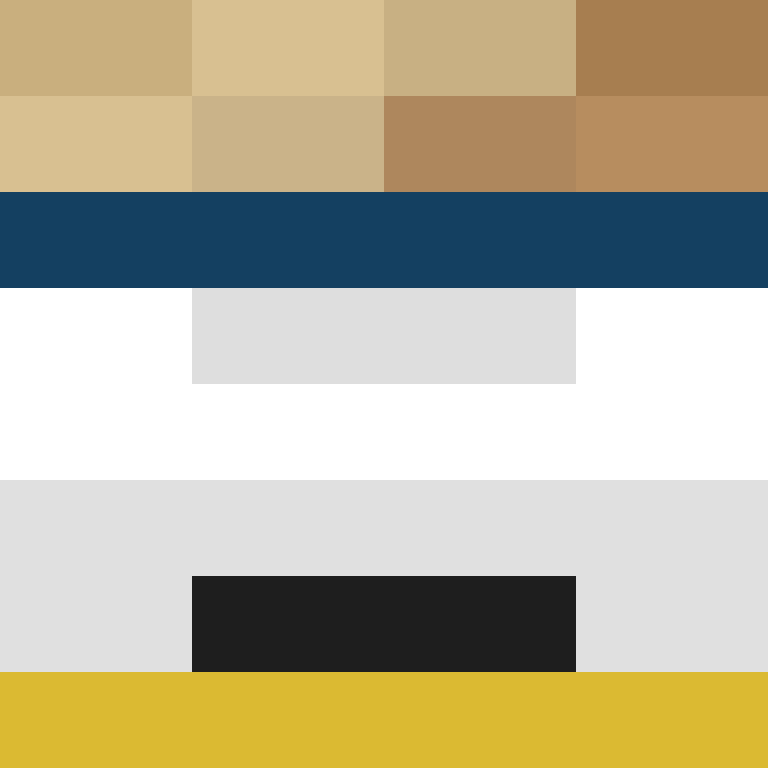 CeilingBird's skin