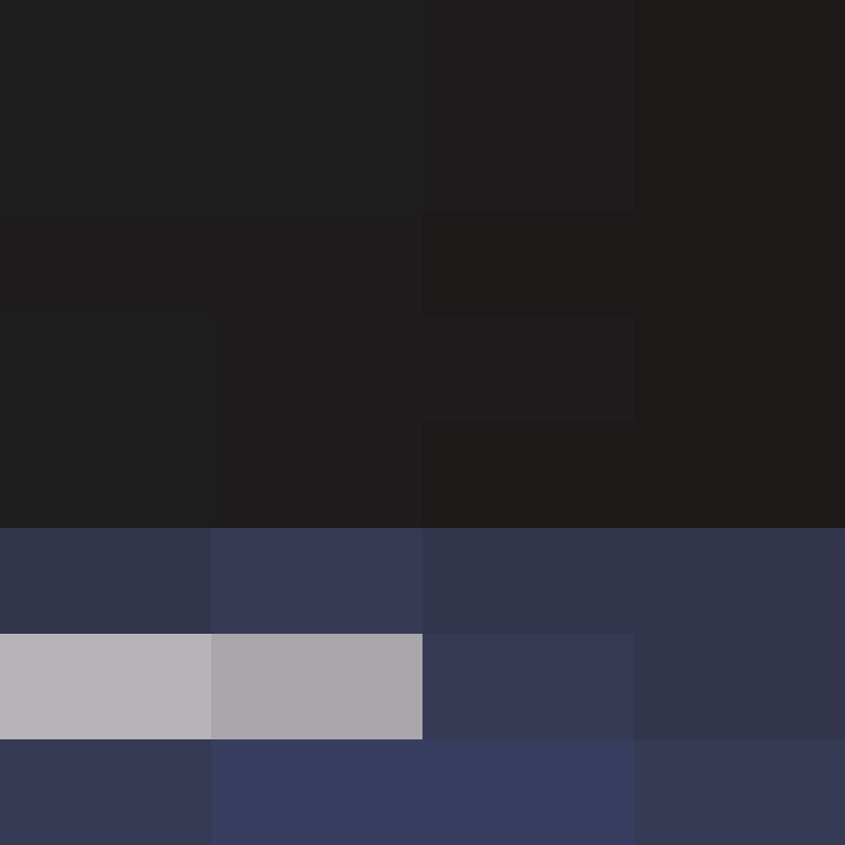 BradBot_2's skin