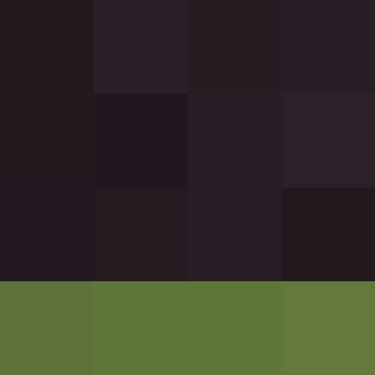 XenokratesRitva's skin