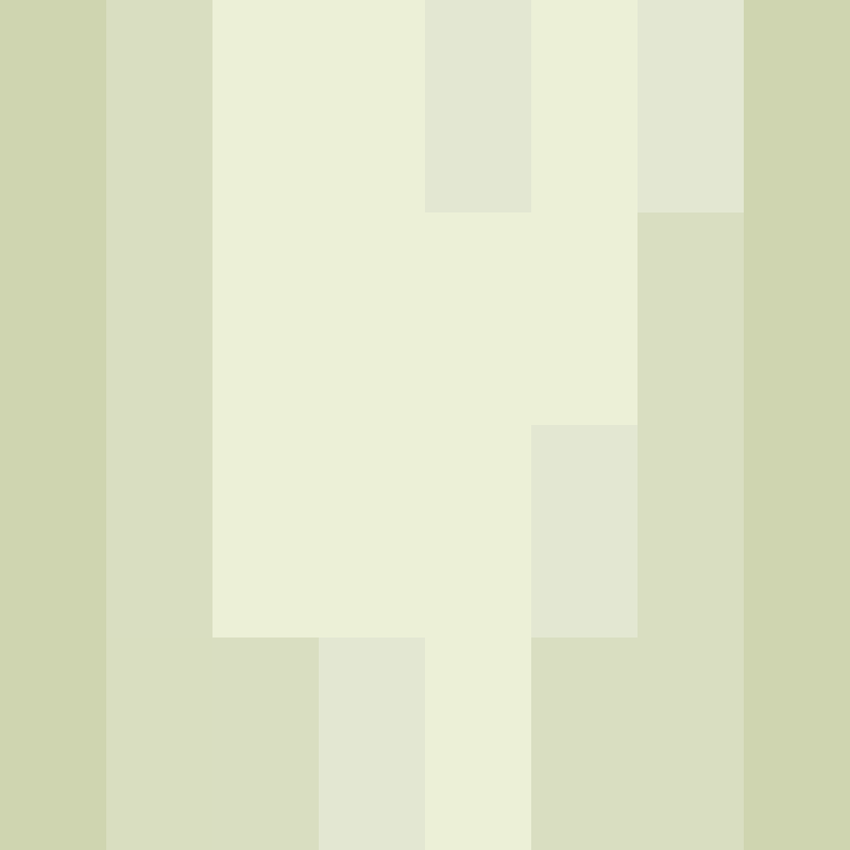 BukkitAPI's skin