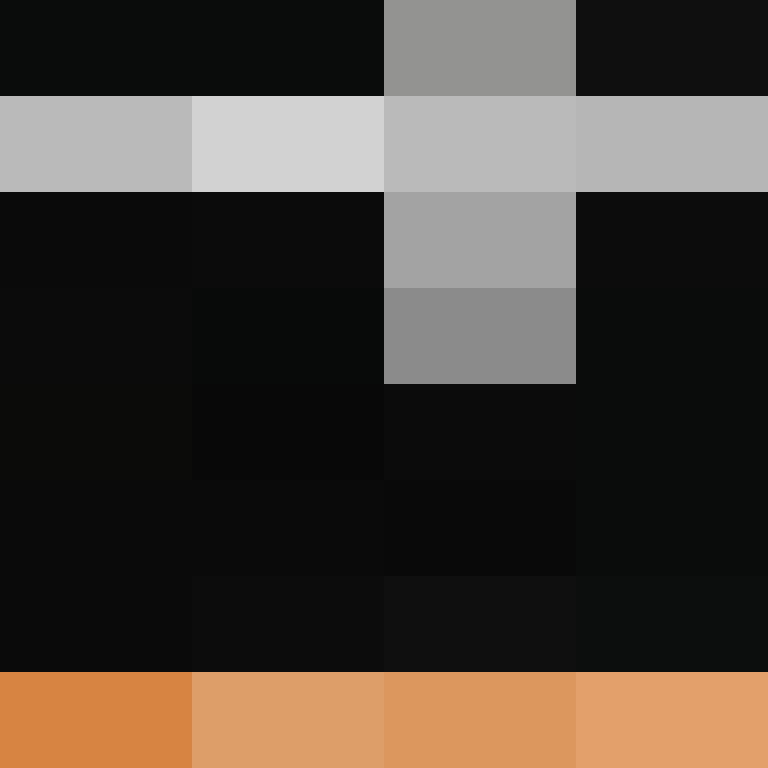 Cartizoll's skin