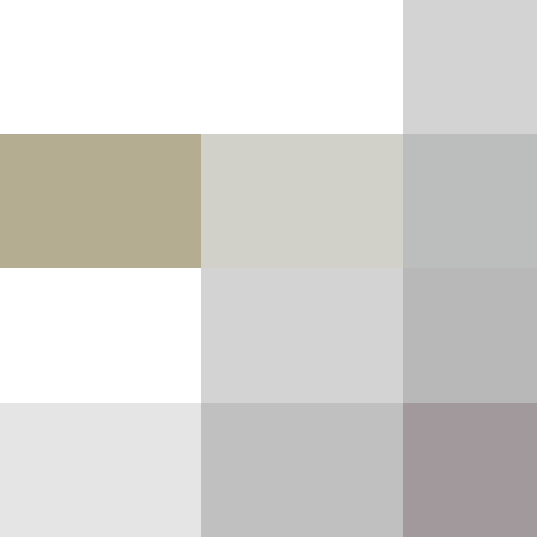 CeilingBird's skin