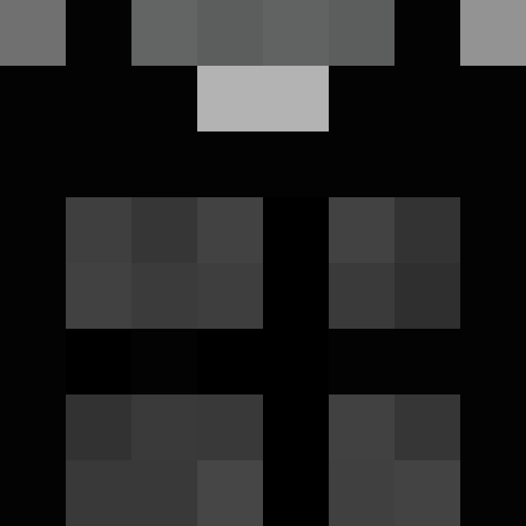 h4yl33's skin