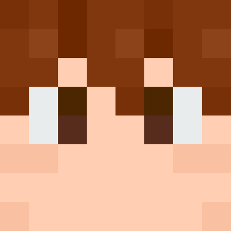 xX_No_Income_Xx's skin