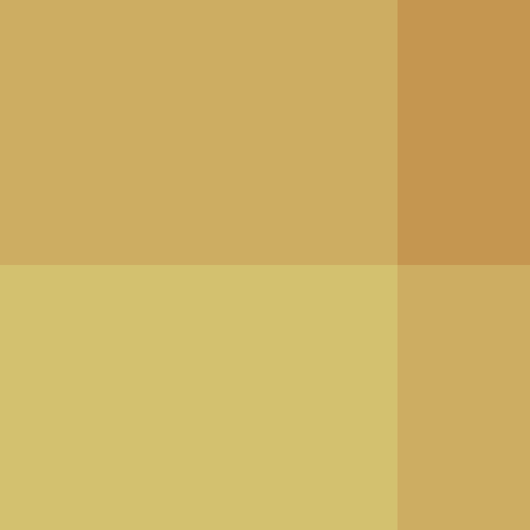 CeilingBird's skin